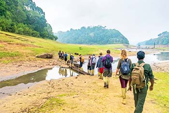 Periyar Trail